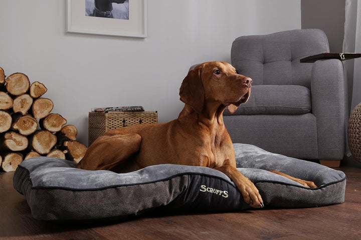 Scruffs 1160 Chester Hunde Kissen, M, grau Grau M 82 x 58 x 6 cm, Grau M 82 x 58 x 6 cm