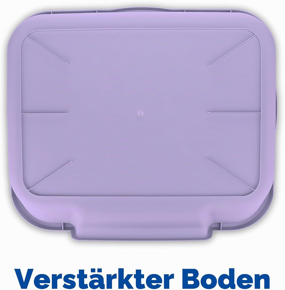 KittyGoHere Senior-Katzentoilette, niedriger Einstieg, komfortable Grösse, ideal für ältere und arth