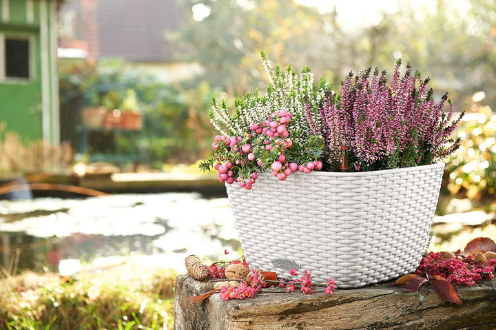 LECHUZA BACINO Cottage weiss 15450 30x30x18 cm Weiss, 30x30x18 cm Weiss