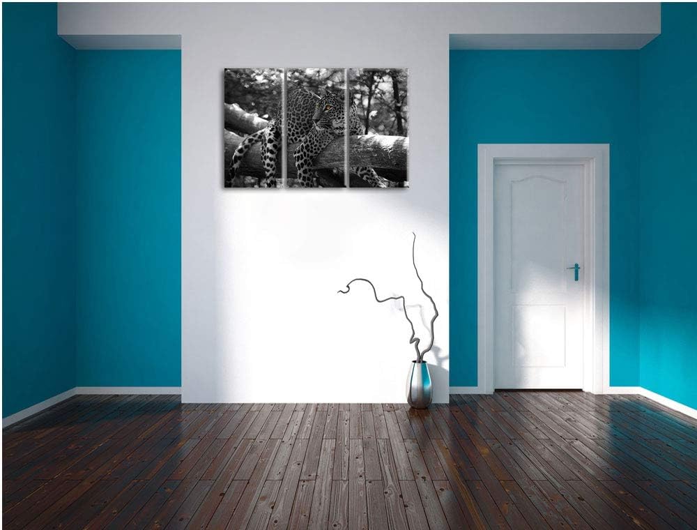 Pixxprint liegender Leopard auf AST als Leinwandbild | Grösse: 3 Teilig (120x80) | Wandbild| Kunstdr