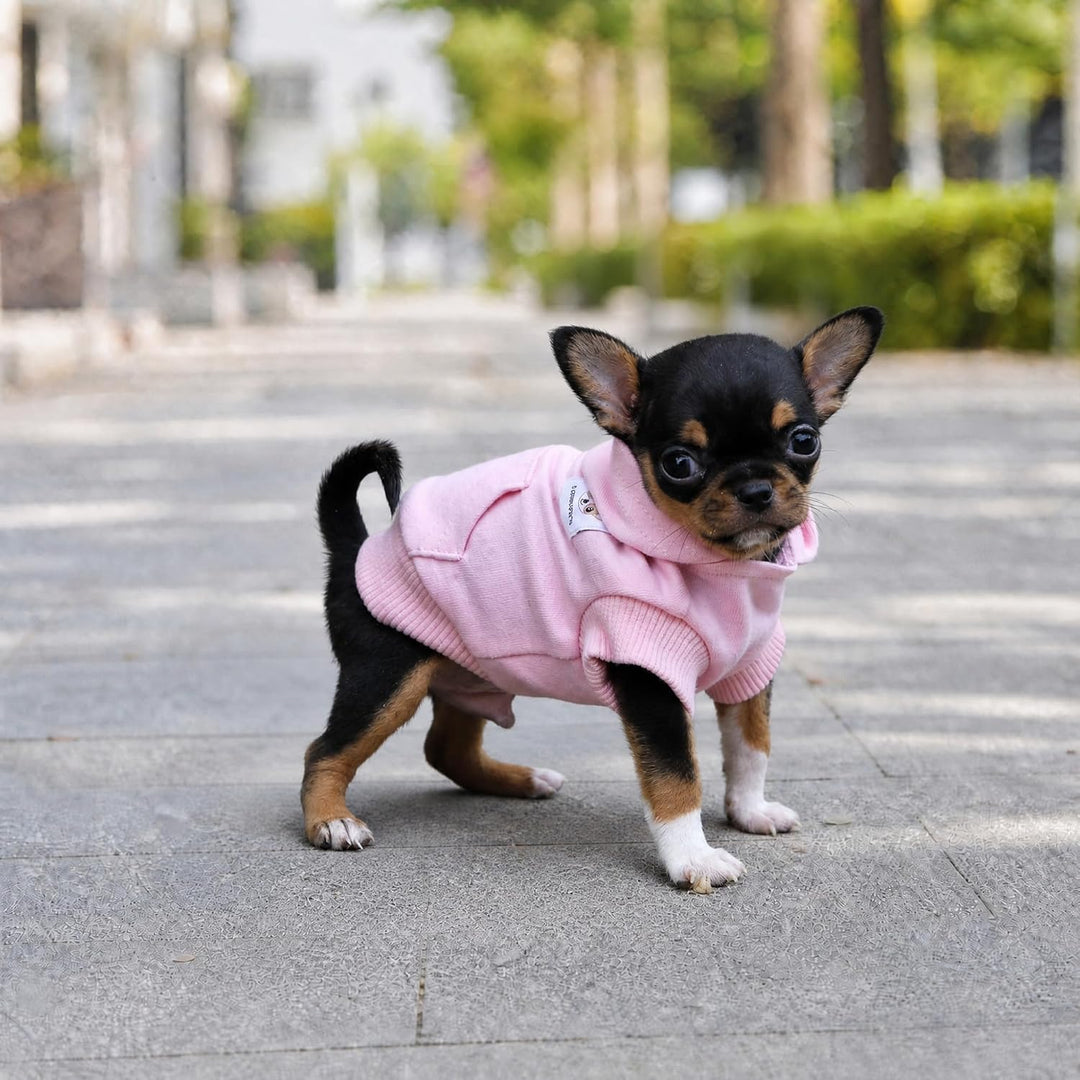 LOPHIPETS Hunde-Kapuzenpullover aus Baumwolle, für kleine Hunde, Chihuahua, Welpen, für kaltes Wette