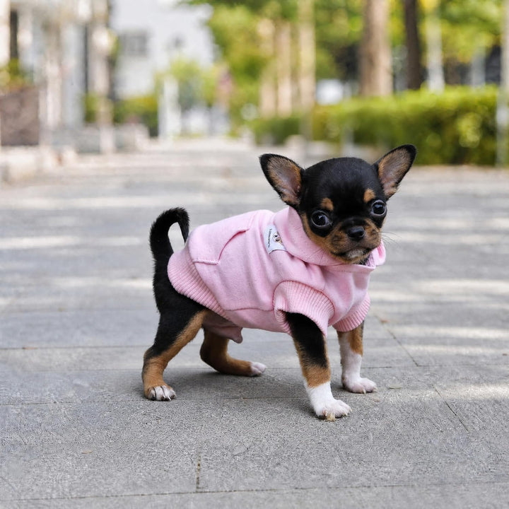 LOPHIPETS Hunde-Kapuzenpullover aus Baumwolle, für kleine Hunde, Chihuahua, Welpen, für kaltes Wette