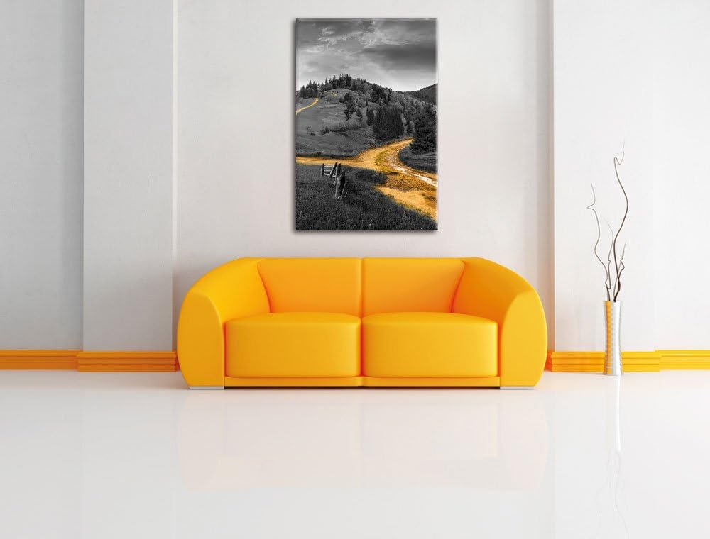 Pixxprint Verträumte Berglandschaft schwarz/weiss, Format: 70x100 auf hochkantiges Leinwand, XXL rie