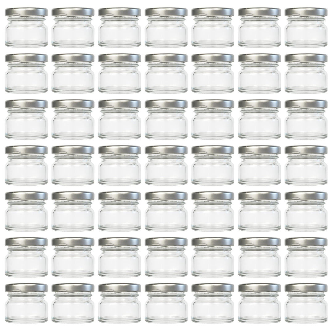 hocz 50x Mini Marmeladengläser 30 ml | mit Deckel Silber TO 43 | kleine Einmachgläser mit Schraubdec