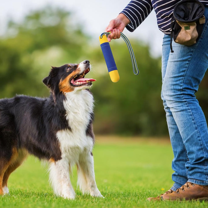 2 Stück Hundespielzeug Schwimmender Hundedummy Wasserspielzeug Hund für Wurf- und Apportierspiele an