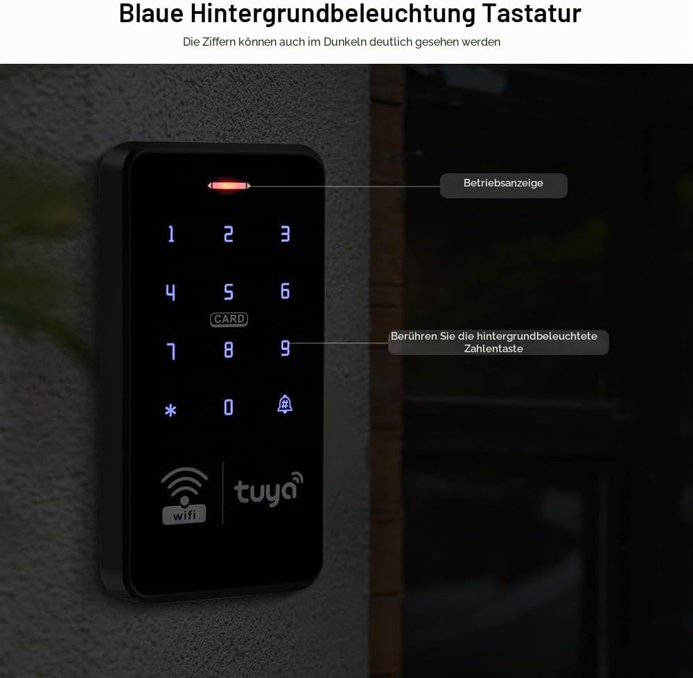 FUSYTULY WiFi Tuya Zugangskontrolle Tastatur IP68 Wasserdicht RFID Access Controller 125KHz 13.56MHz