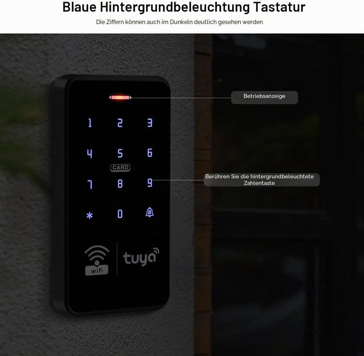 FUSYTULY WiFi Tuya Zugangskontrolle Tastatur IP68 Wasserdicht RFID Access Controller 125KHz 13.56MHz