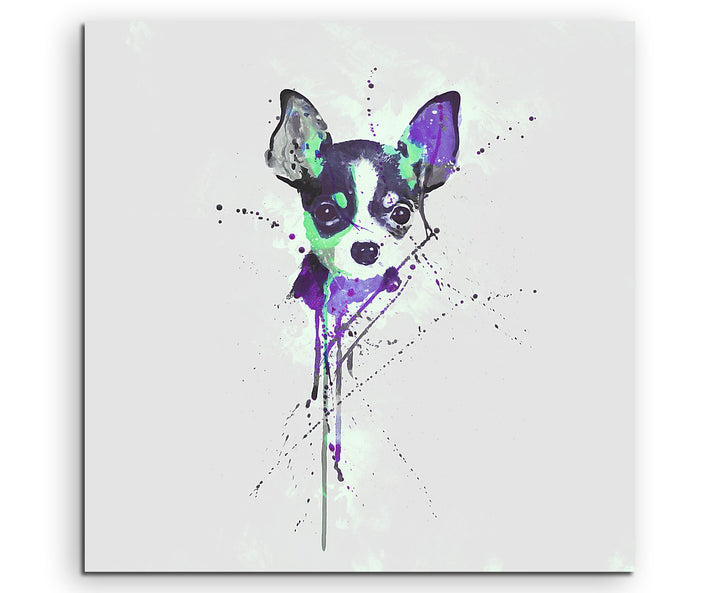 Paul Sinus Art Chihuahua 60x60cm Keilrahmenbild Kunstbild Aquarell Art Wandbild auf Leinwand fertig