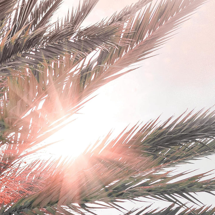 Novart Bilder Set - AUFHÄNGFERTIG - KEIN EXTRA RAHMEN BENÖTIGT - Oriental Marokko Palme Modern Rosa