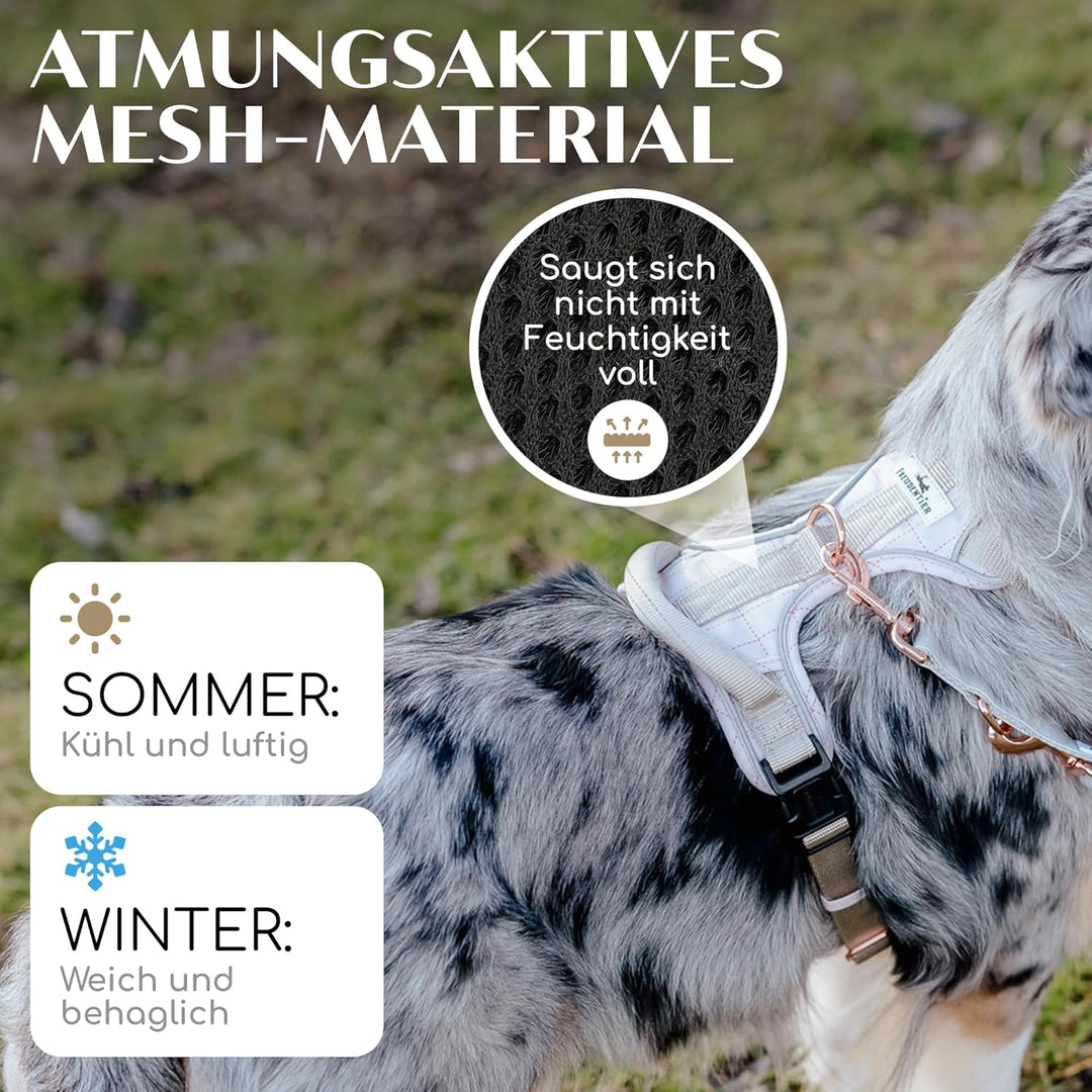 FREUDENTIER® Hundegeschirr mit atmungsaktiver Polsterung - Bombenfester Sitz - Anti Zieh Brustgeschi