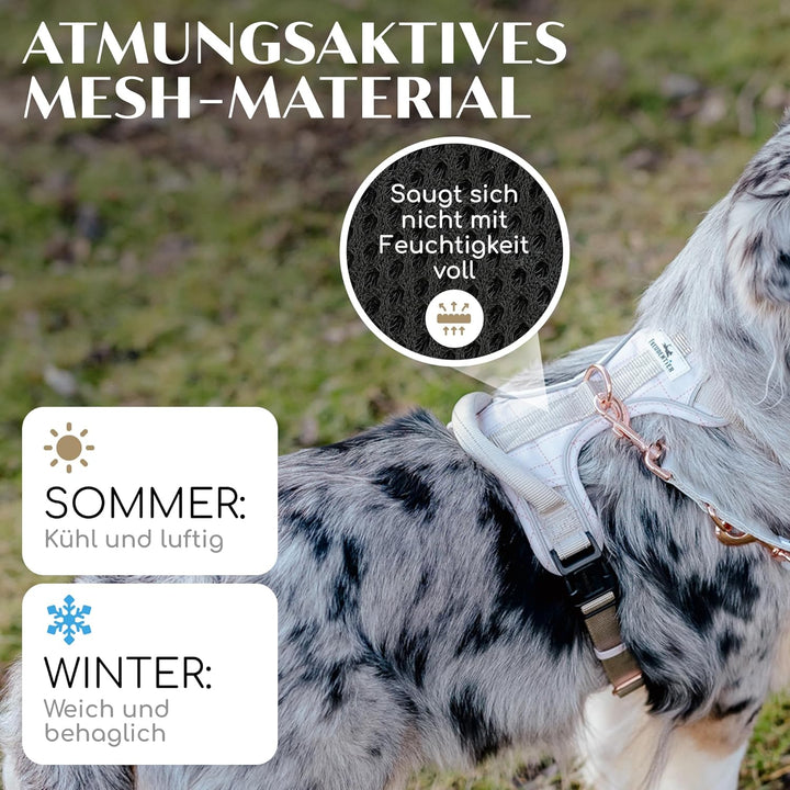 FREUDENTIER® Hundegeschirr mit atmungsaktiver Polsterung - Bombenfester Sitz - Anti Zieh Brustgeschi