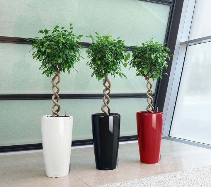 Lechuza Pflanzgefäss Rondo 32 schwarz Hochglanz 15789