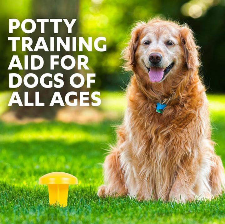 Simple Solution Pee Post | Outdoor-Hundetrainingshilfe | Pheromon infundierter Hunde-Pinkelständer E