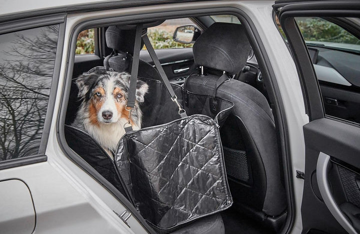 WOLTERS Clean Car Rücksitz Schondecke