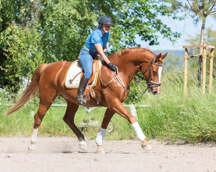 Dr. Weyrauch Nr. 9 Leben ist Bewegung - Ergänzungsfutter für Pferde - 1,2 kg Dose
