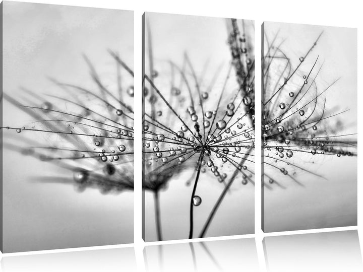 Pixxprint Pusteblume bedeckt mit Tropfen als Leinwandbild/Grösse: 3 Teilig (120x80) cm/Wandbild/Kuns