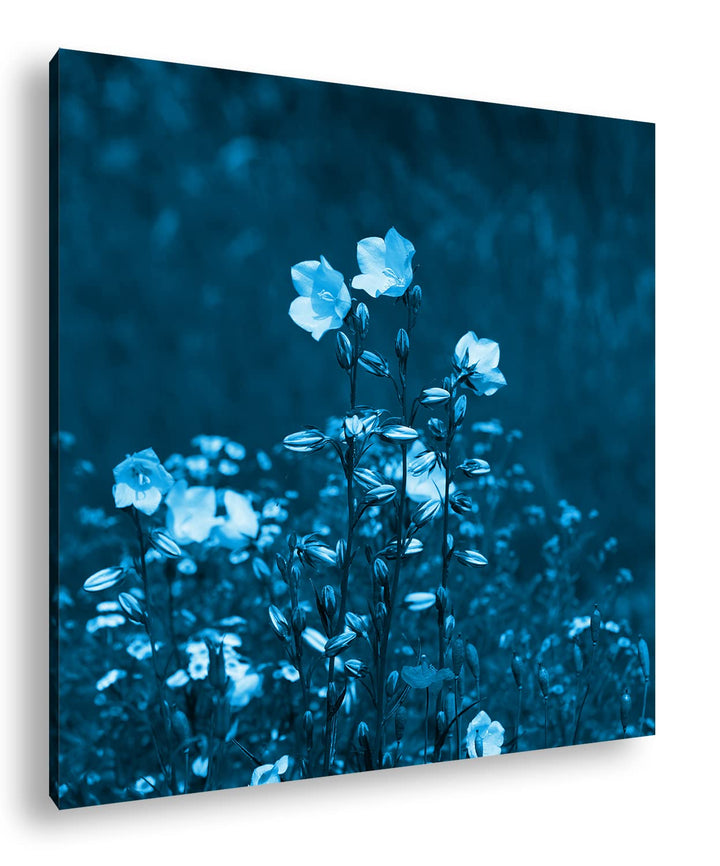 deyoli Zauberhafte Wiesenblumen Format: 60x60 Effekt: Monocrome Blau als Leinwandbild, Motiv fertig