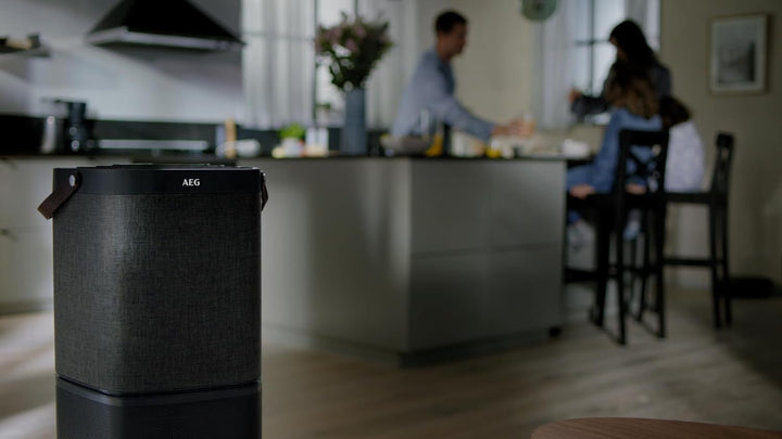 AEG AFDFRH6 Filter FRESH360 (Passend für AX91-604DG/AX91-604GY Luftreiniger, effizient gegen unangen