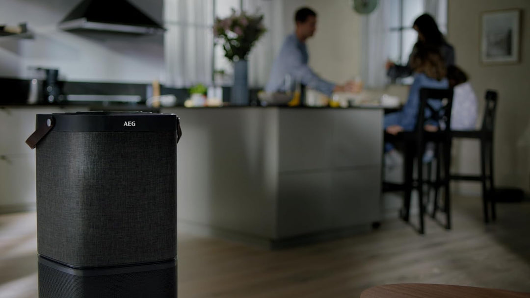 AEG AFDFRH6 Filter FRESH360 (Passend für AX91-604DG/AX91-604GY Luftreiniger, effizient gegen unangen