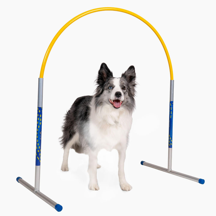 Hoopers Agility Hoops - NADAC Hoopers Agility Hoops ohne Mittelstrebe (Grosspackung) Gelb, Gelb