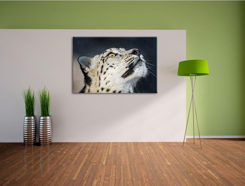 Pixxprint aufschauender Schneeleopard auf Leinwand, XXL riesige Bilder fertig gerahmt mit Keilrahmen