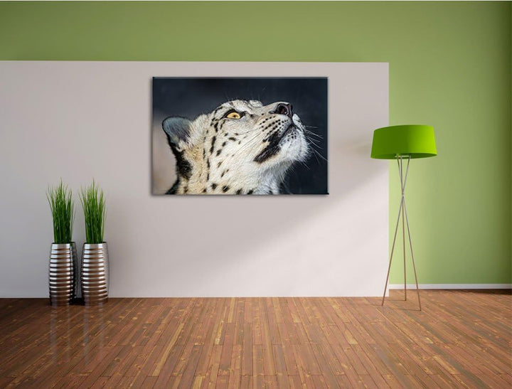 Pixxprint aufschauender Schneeleopard auf Leinwand, XXL riesige Bilder fertig gerahmt mit Keilrahmen