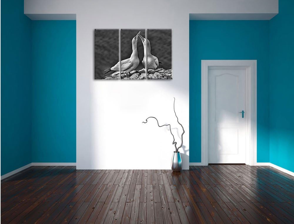 Pixxprint Monocrome, aussergewöhnliche Vögel am Meer 3-Teiler Leinwandbild 120x80 Bild auf Leinwand