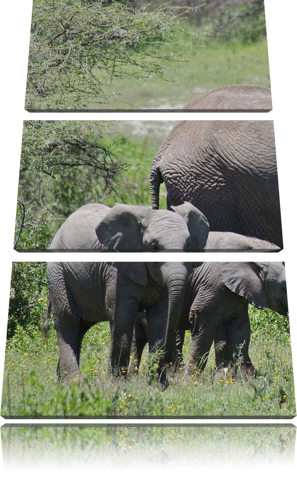 Pixxprint Süsse Elefanten Babys 3-Teiler Leinwandbild 120x80 Bild auf Leinwand