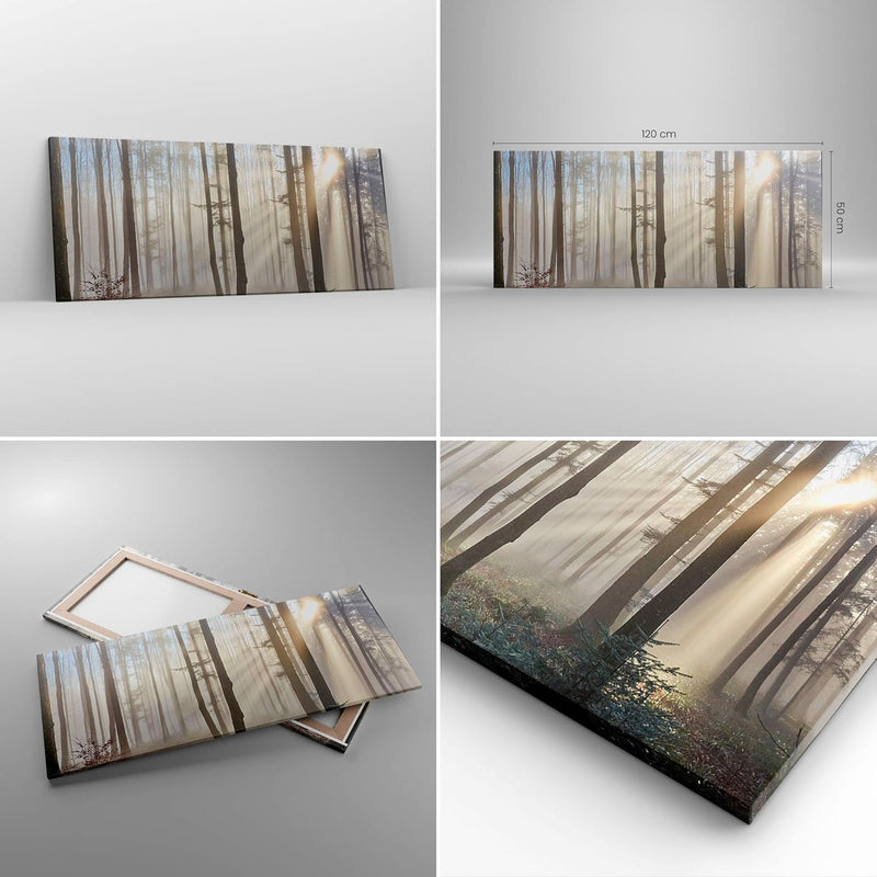 Wandbilder Dekoration Wohnzimmer Wald Baum Natur Panorama Bilder auf Leinwand 120x50cm Leinwandbild