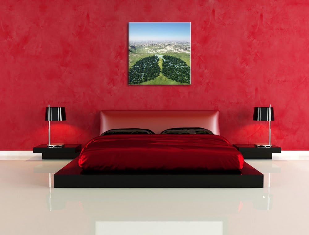 Grüne Lunge der Natur, Format: 70x70 auf Leinwand, XXL riesige Bilder fertig gerahmt mit Keilrahmen,