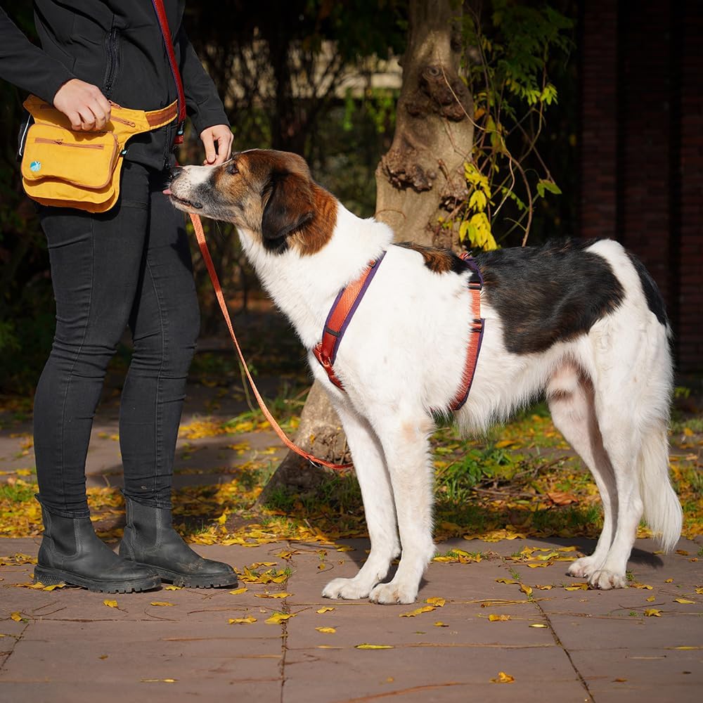 Anny-X Brustgeschirr Fun | Limited Edition Pflaume trifft Zimt | Hundegeschirr Grösse XXS-Lang (Brus