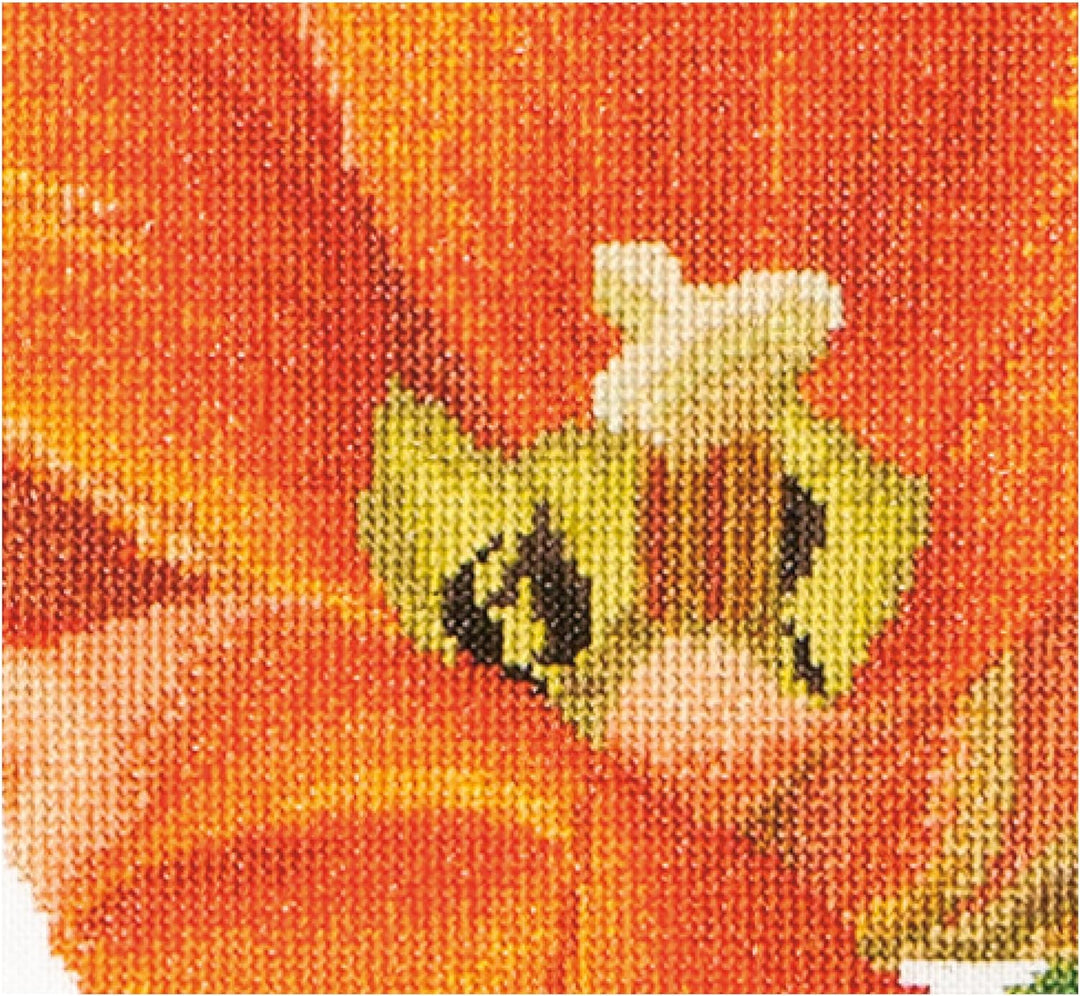 Thea Gouverneur - Kreuzstich-Set - Orange Triuph Tulpe - Leinen - 32 Count - Für Erwachsene - 523 34