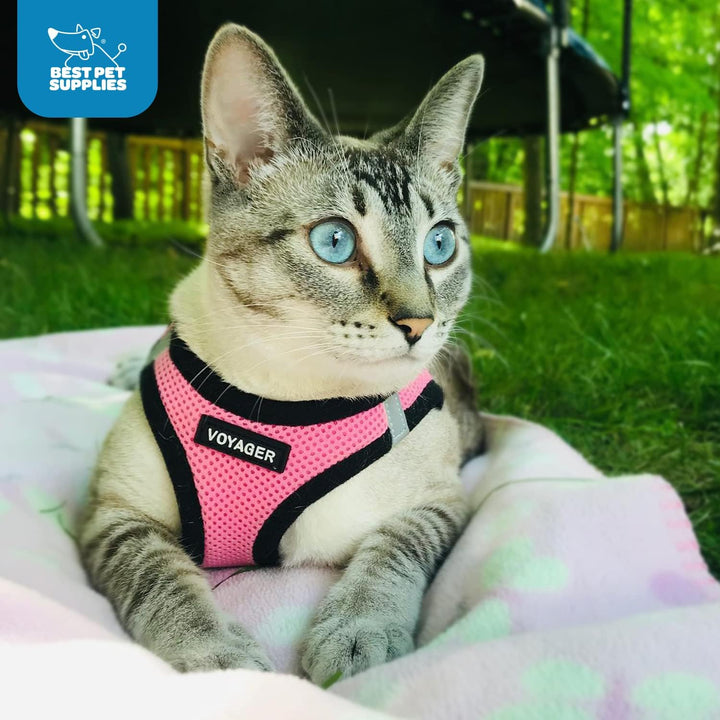 Best Pet Supplies Voyager Step-In Air Hundegeschirr – Allwetter Mesh Step In Weste Geschirr für klei
