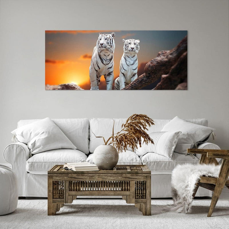 Wandbilder Dekoration Wohnzimmer Tiger weiss Rock Sonnenuntergang Panorama Bilder auf Leinwand 120x5