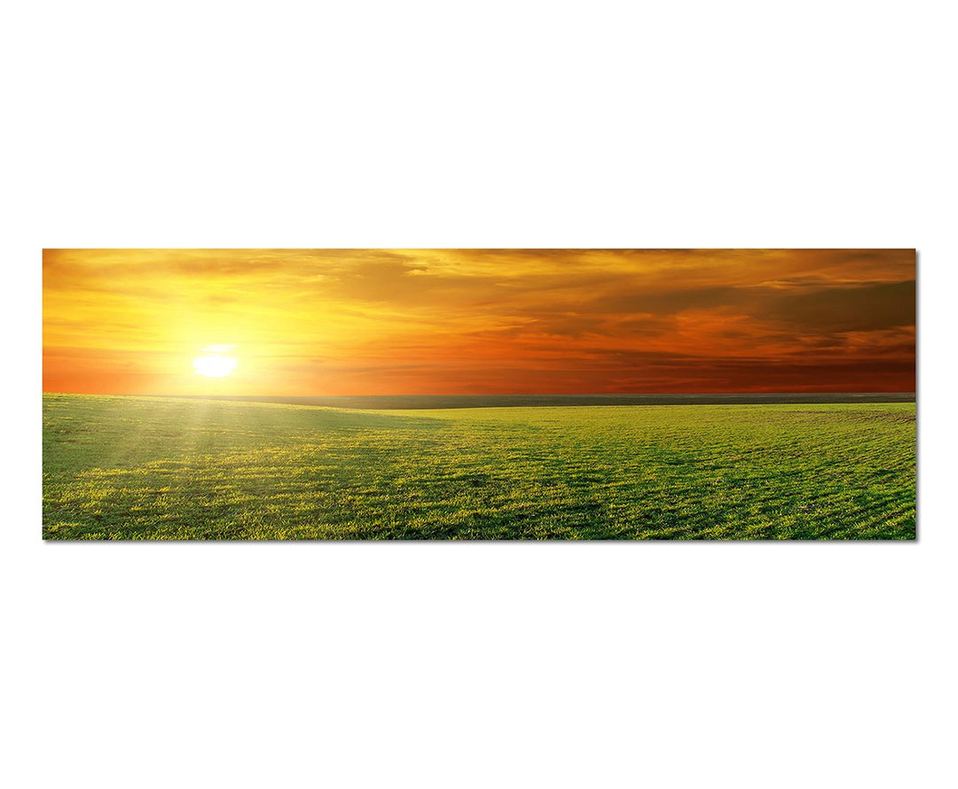 Paul Sinus Art Panoramabild auf Leinwand und Keilrahmen 150x50cm Feld Wiese Frühling Sonnenuntergang