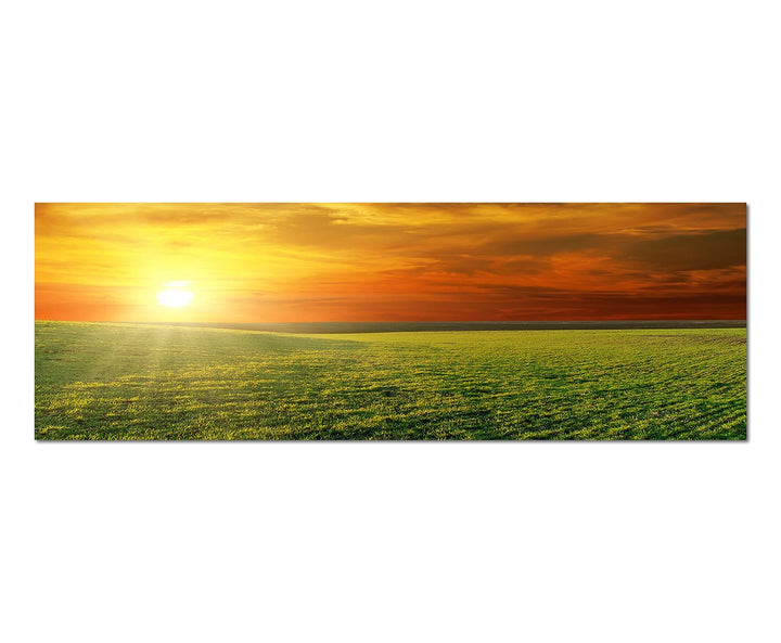 Paul Sinus Art Panoramabild auf Leinwand und Keilrahmen 150x50cm Feld Wiese Frühling Sonnenuntergang