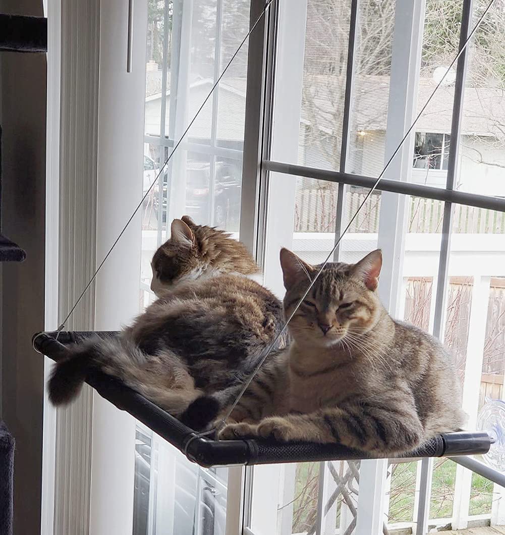 Dracarys Katzen hängematte Fenster | für grosse Katzen bis 20 kg | Verstärkte Katzenhängematte mit s