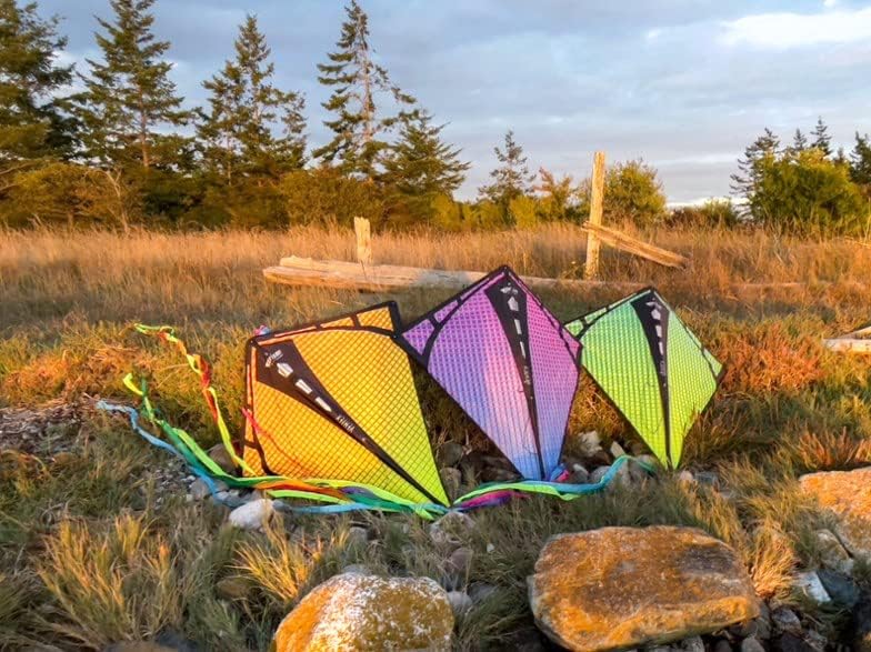 Prism Kite Technology Vertex High Flying Diamond Kite with 10' Long Triple Streamer Tail Infrarot, I