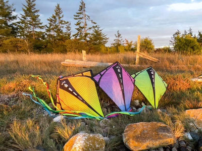 Prism Kite Technology Vertex High Flying Diamond Kite with 10' Long Triple Streamer Tail Infrarot, I
