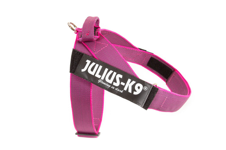 Julius-K9, Color & Gray, Beltgeschirr XL / 2 pink-grau, XL / 2 pink-grau