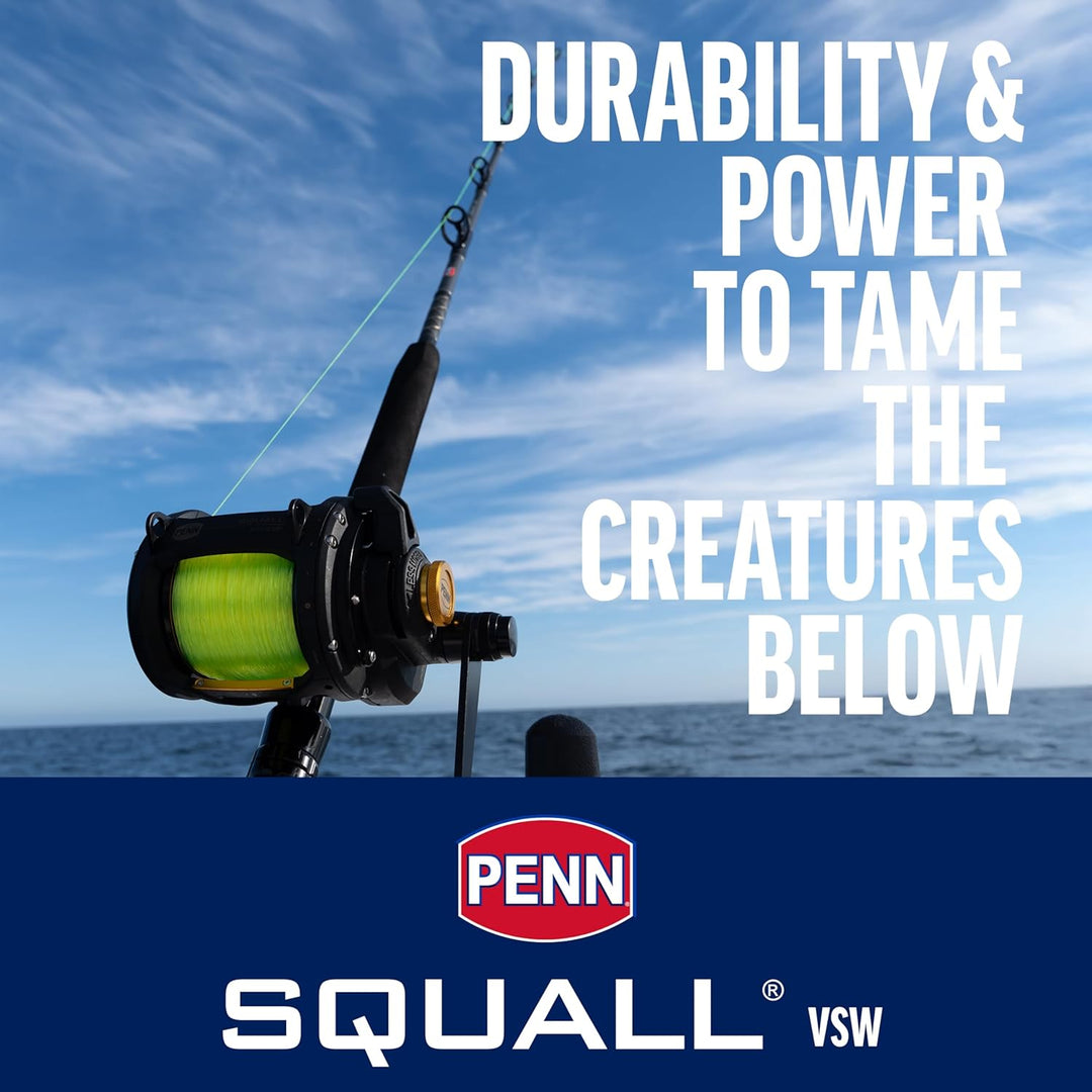 PENN Squall Lever Drag 2 Speed Multirolle – Salzwasser Boots- und Kajaksangeln 50| Right |2 Speed, 5