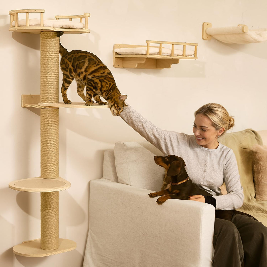 FUKUMARU Kletterwand Katzen-Set, 4 in 1 stabiles Wandmöbel aus mehrschichtigem Holz mit Hängematte,