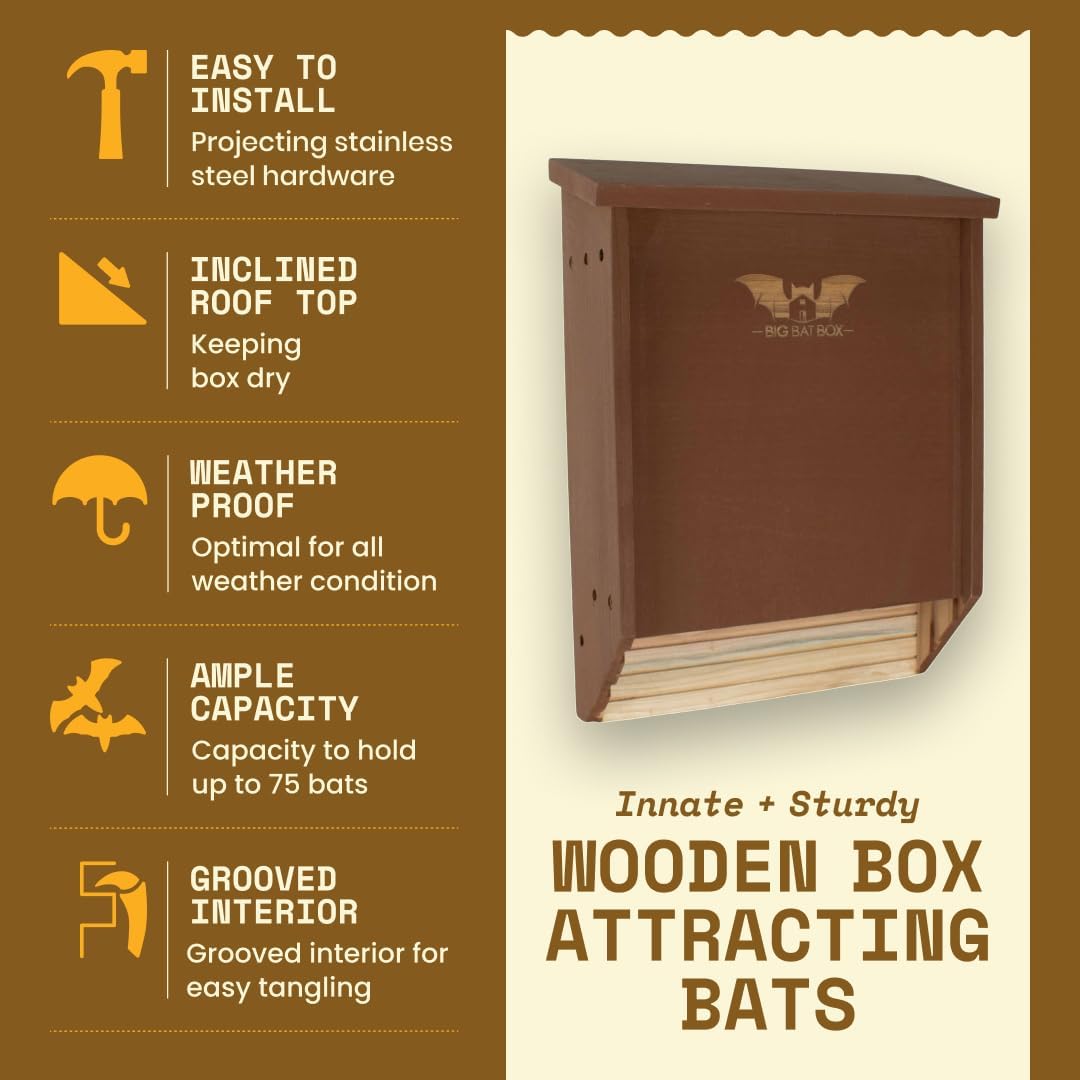 Big Bat Box Fledermaushaus aus Zedernholz, 2 Kammer braun Zweikammer