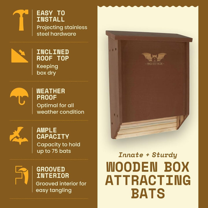 Big Bat Box Fledermaushaus aus Zedernholz, 2 Kammer braun Zweikammer