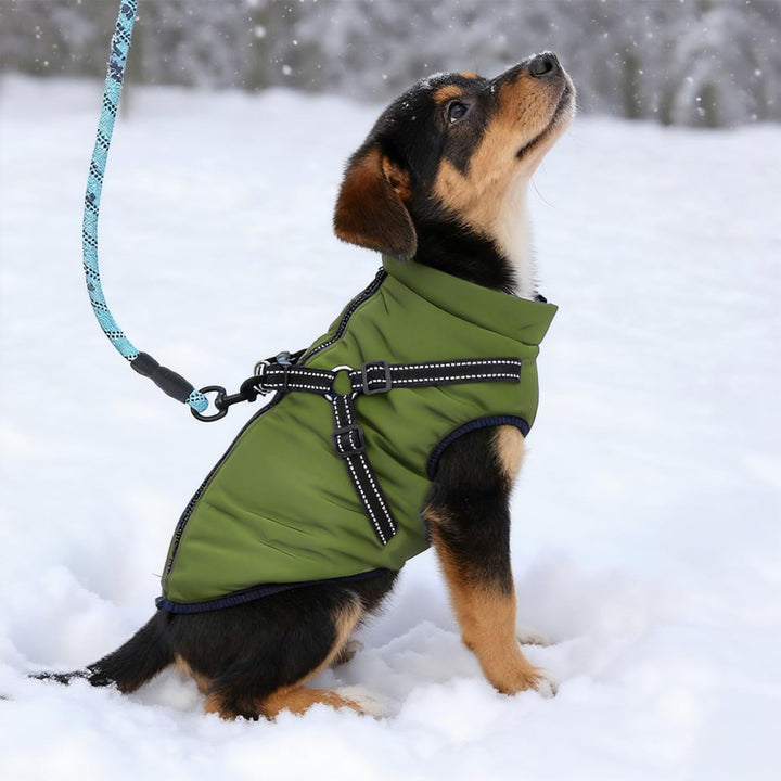 Hundemantel Wasserdicht mit Geschirr, Winterwarme Fleece-Jacke für Mittelgrosse und Grosse Hunde, Re