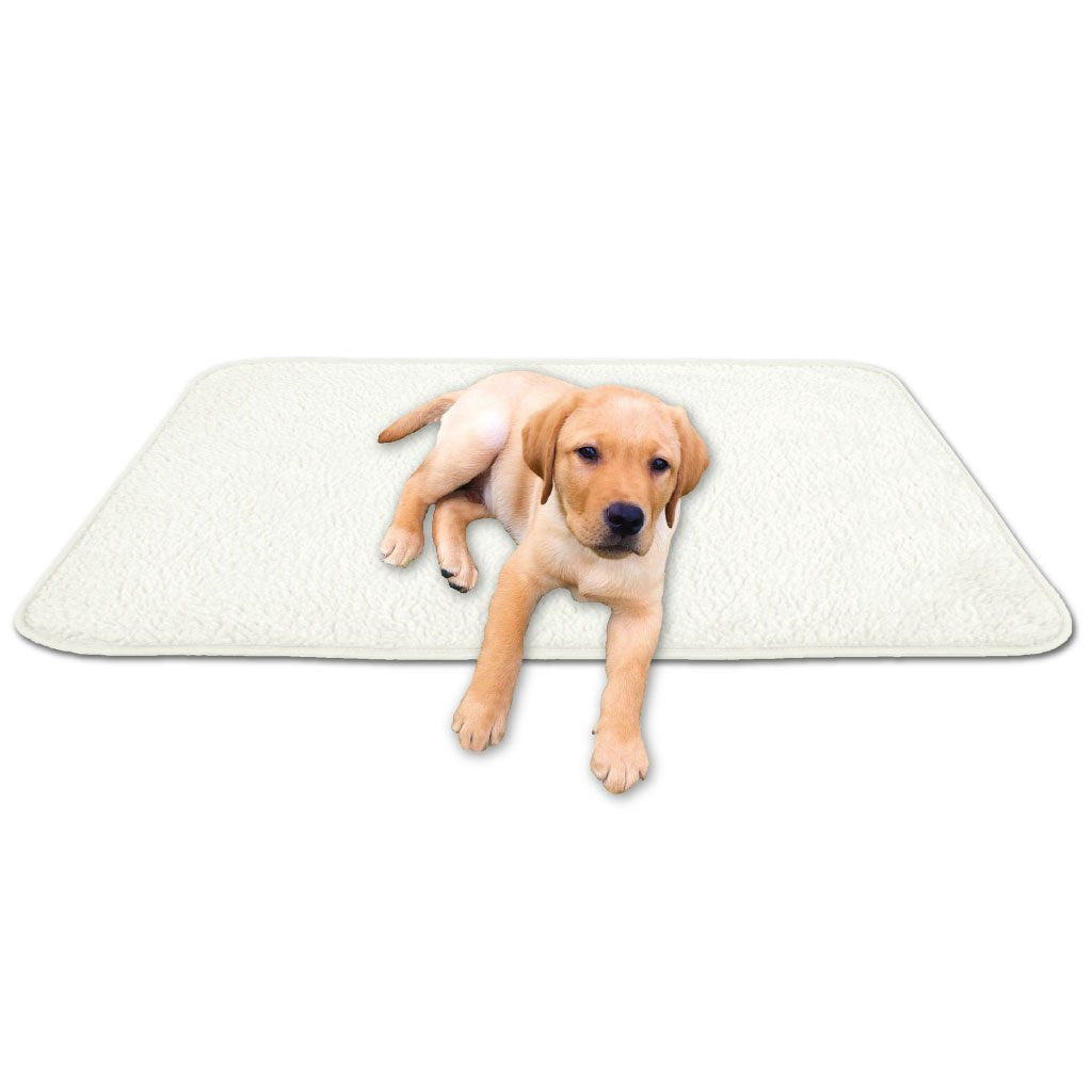 Tierdecke Haustierdecke Kuscheldecke Hundebett Katzendecke (Lammflor - Design / 80x120 cm/Creme - be