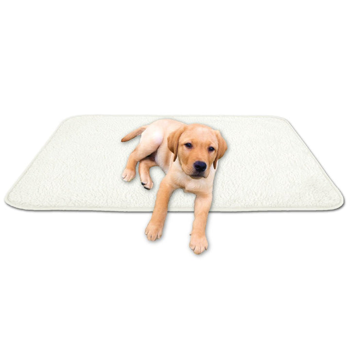 Tierdecke Haustierdecke Kuscheldecke Hundebett Katzendecke (Lammflor - Design / 80x120 cm/Creme - be