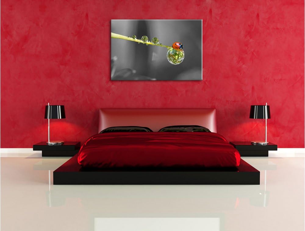 Pixxprint Marienkäfer als Leinwandbild/Grösse: 100x70 / Wandbild/Kunstdruck/fertig bespannt, 100x70