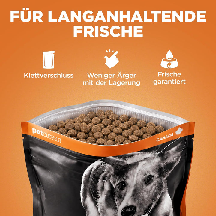 Go! Solutions Skin + Coat Care Getreidehaltige Rezeptur für Hunde Lachs, 1,6-kg-Beutel