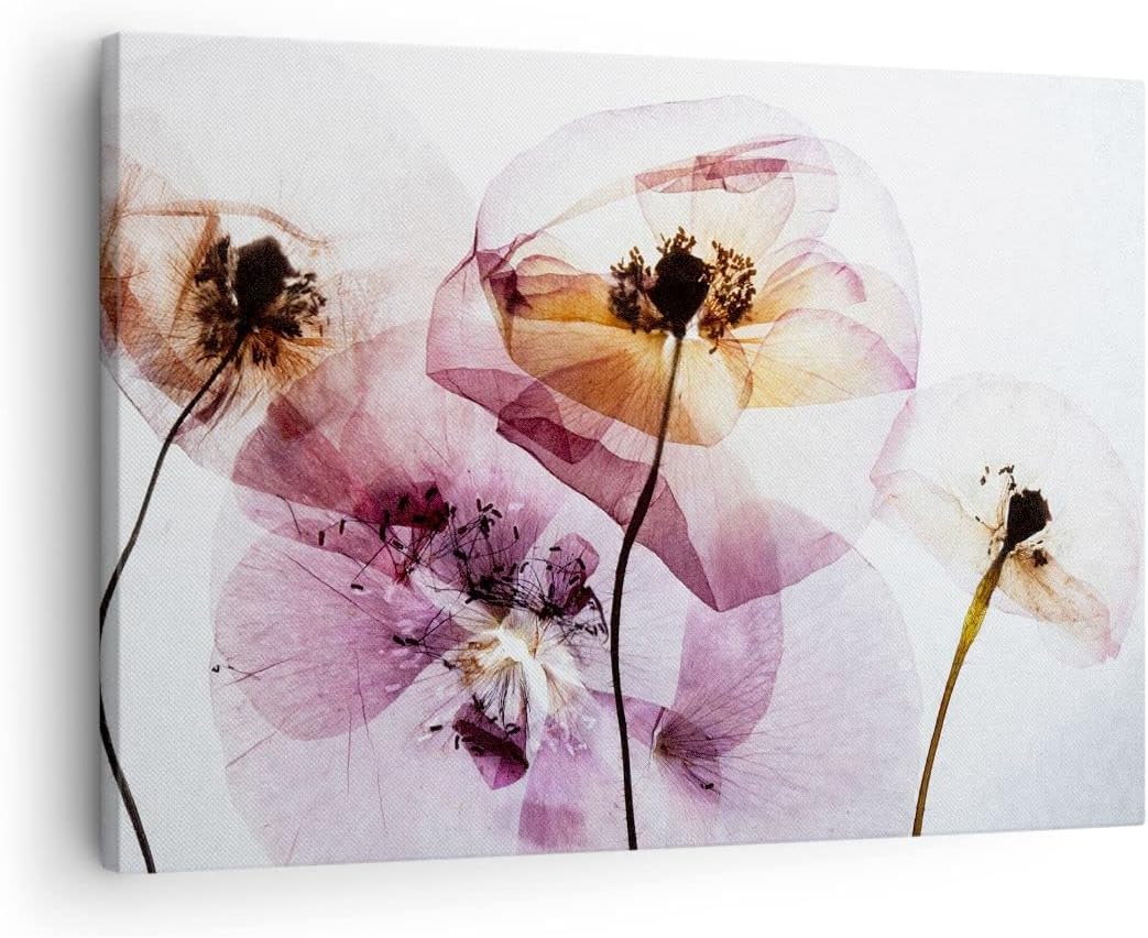 Bilder auf Leinwand blume sommer natur Leinwandbild mit Rahmen 70x50cm Wandbilder Dekoration Wohnzim